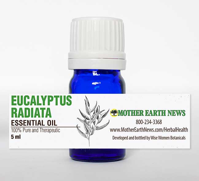 EUCALYPTUS RADIATA ESSENTIAL OIL