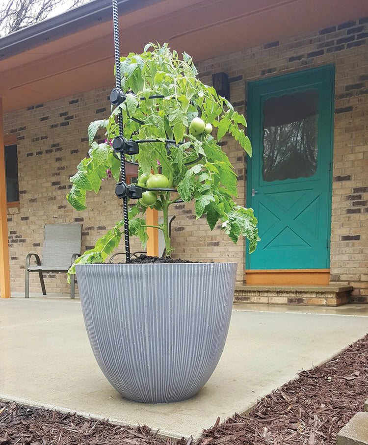 12-INCH PLANT SUPPORT RINGS