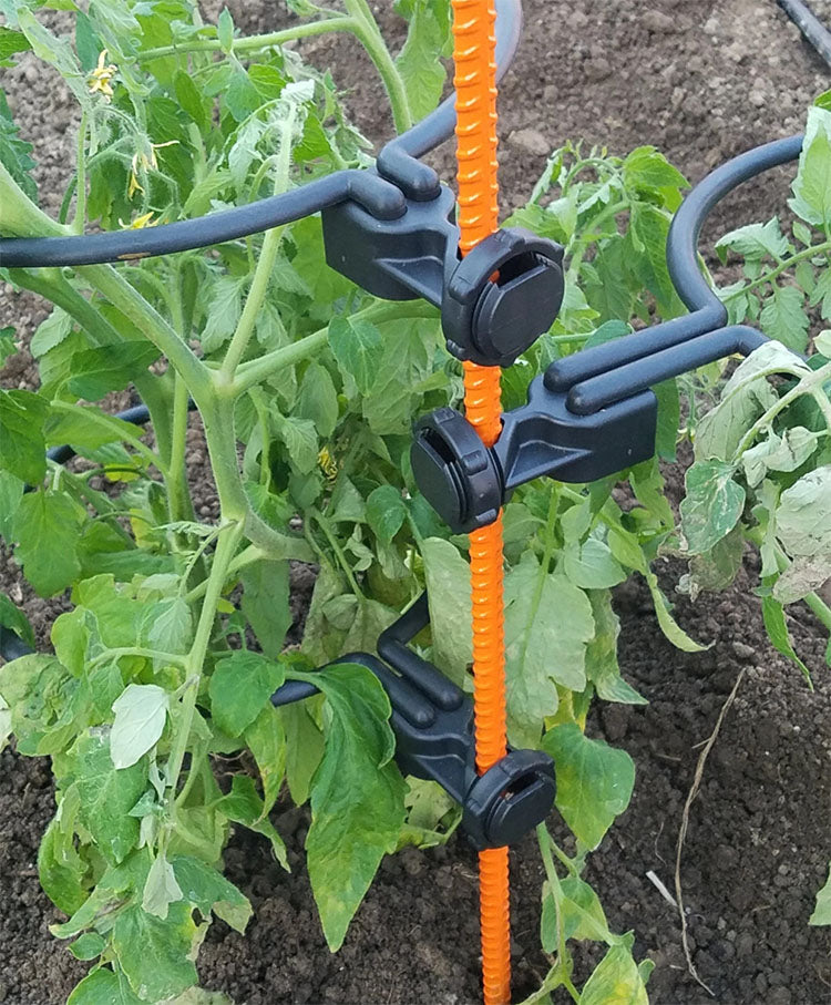 PLANT SUPPORT RINGS, MULTI-PACK