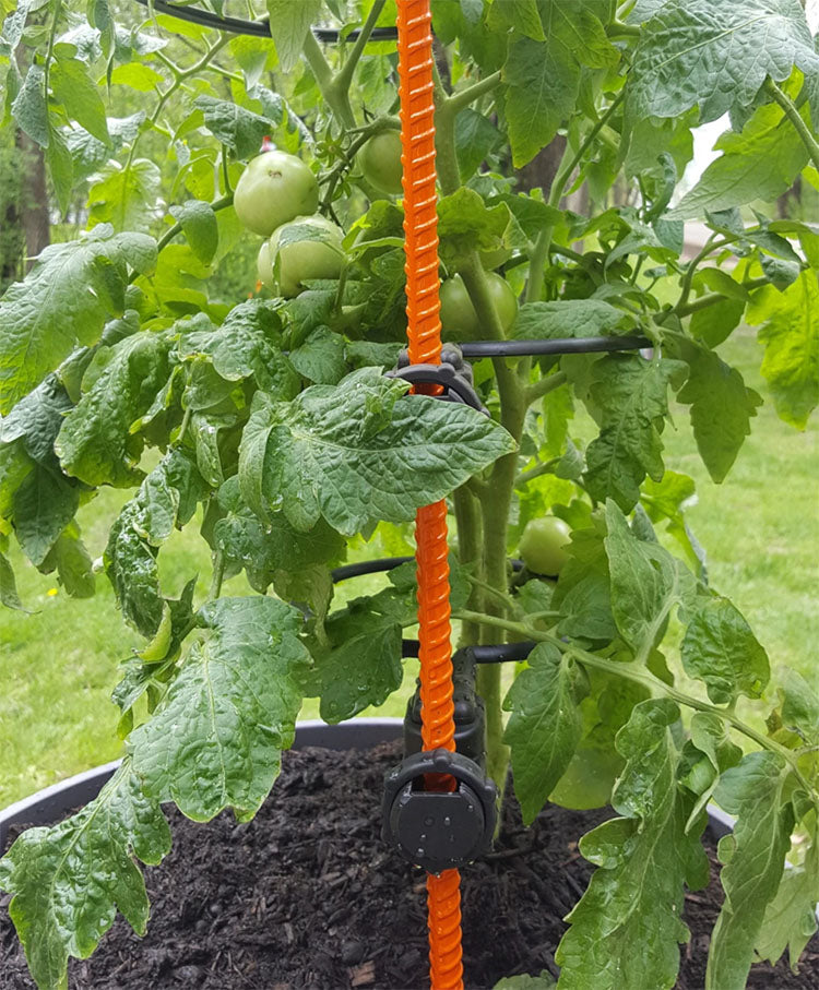 8-INCH PLANT SUPPORT RINGS