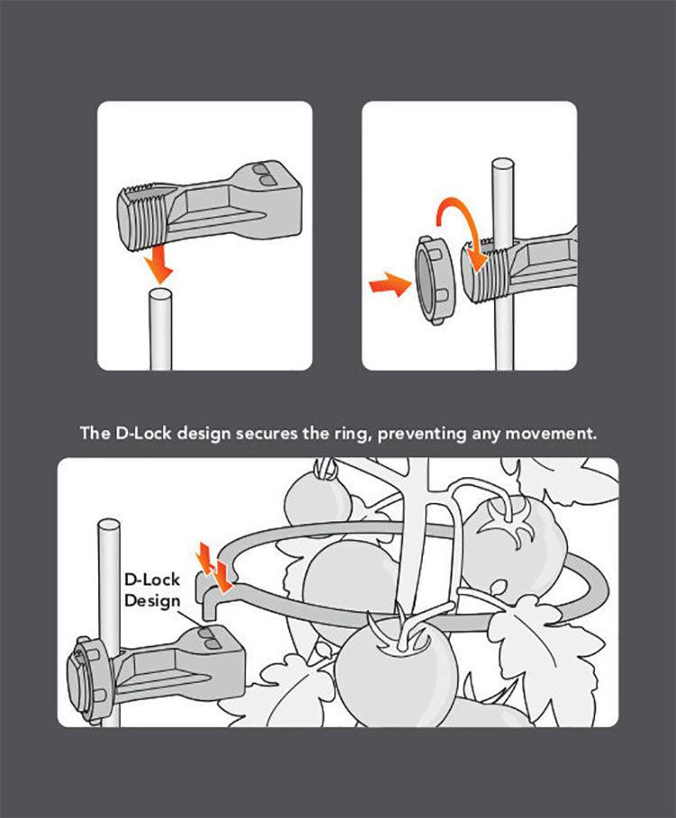 PLANT SUPPORT RINGS, MULTI-PACK
