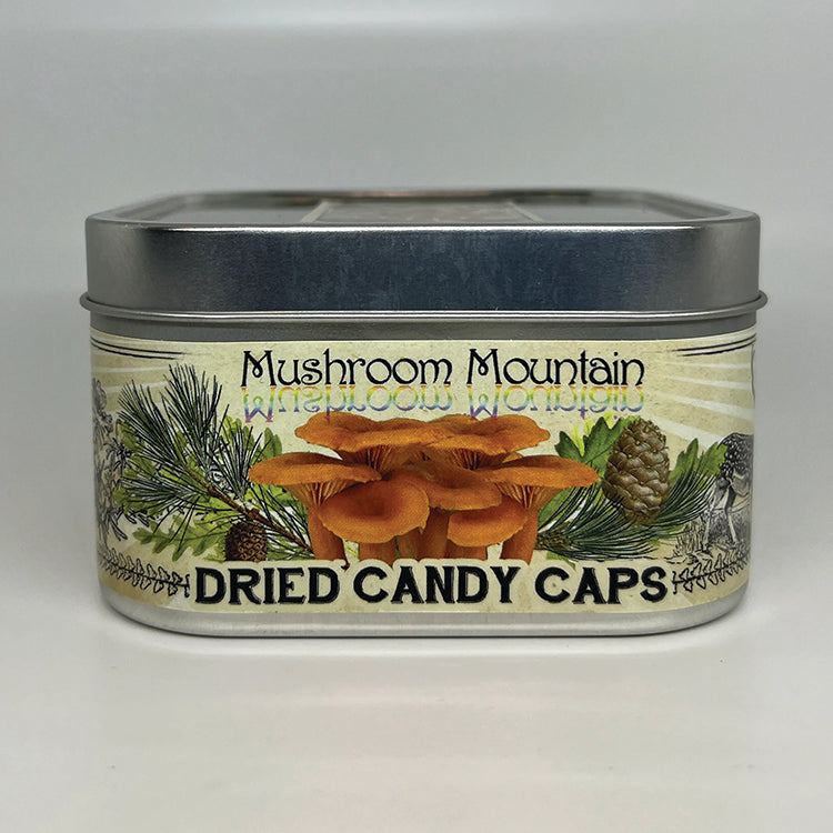 DRIED MUSHROOMS, CANDY CAP