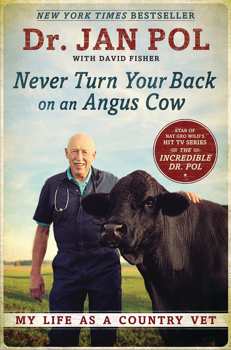 NEVER TURN YOUR BACK ON AN ANGUS COW