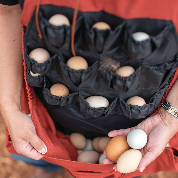 ROO-STER EGG COLLECTING APRON