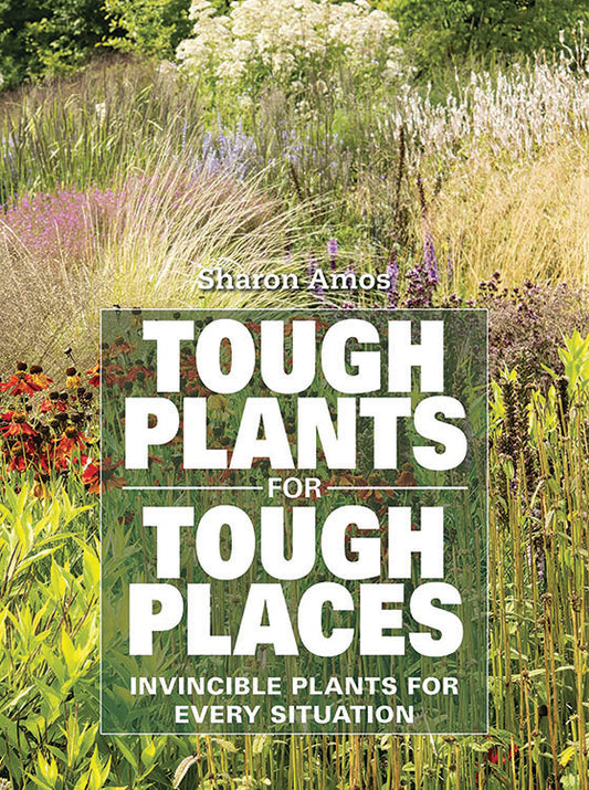 TOUGH PLANTS FOR TOUGH PLACES