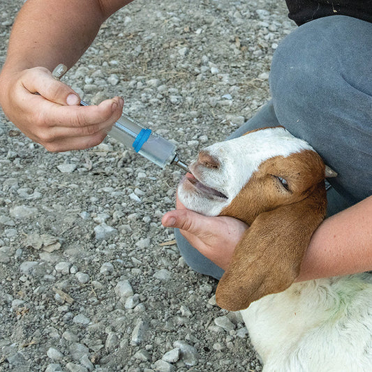 Small Flock Drencher