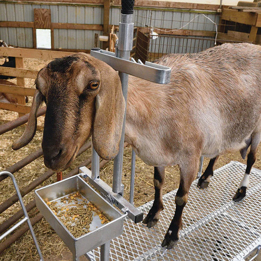 Milking Stand Kit