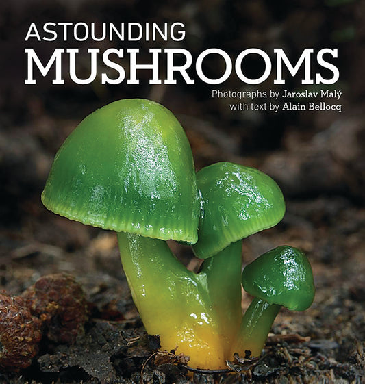 ASTOUNDING MUSHROOMS