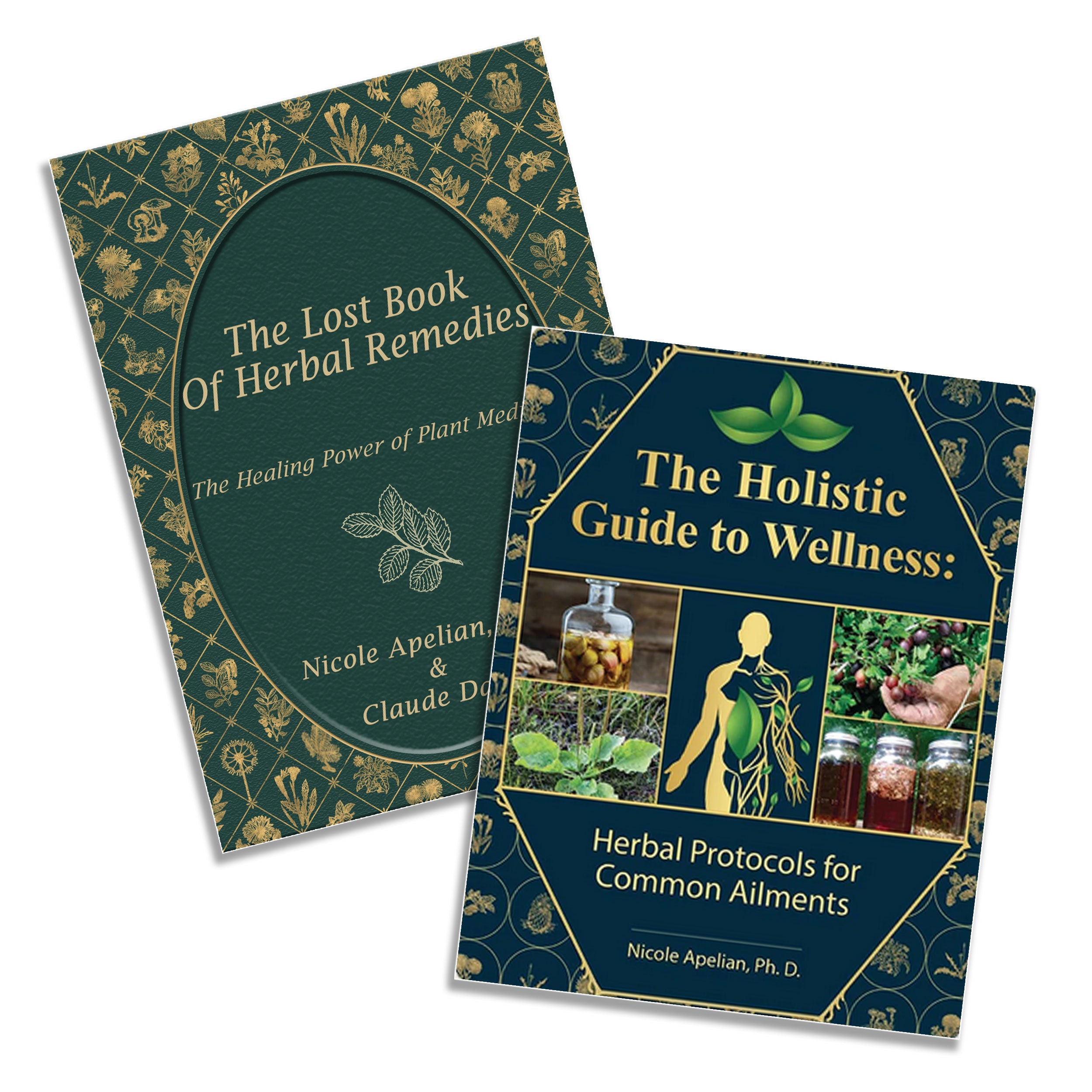 THE LOST BOOK OF HERBAL REMEDIES & THE HOLISTIC GUIDE TO WELLNESS KIT ...