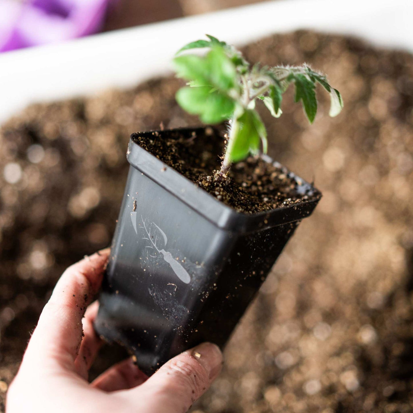 Seed Starter Pots — 2.5" Extra Strength