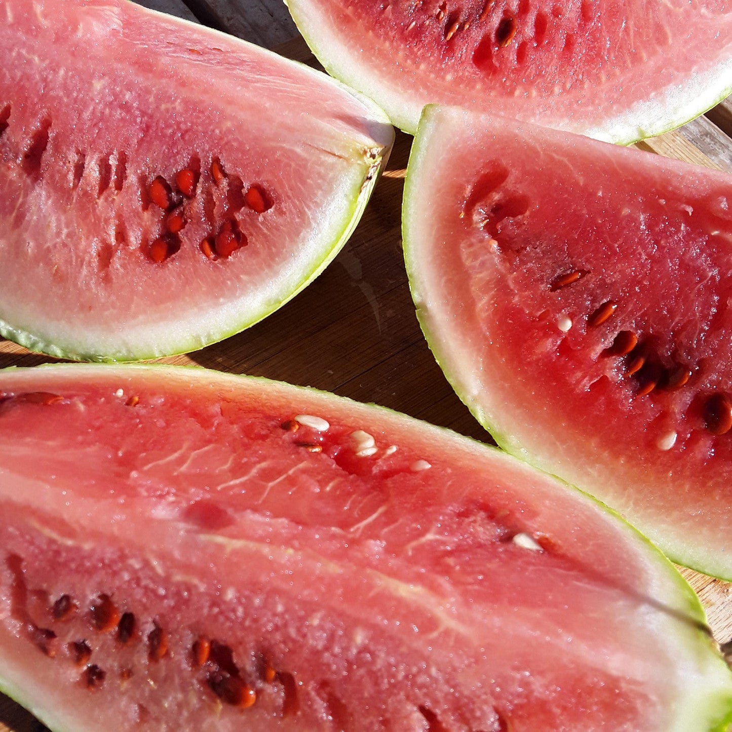 Diné Origin Sweet Storage Watermelon
