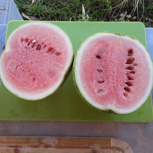 Diné Origin Sweet Storage Watermelon