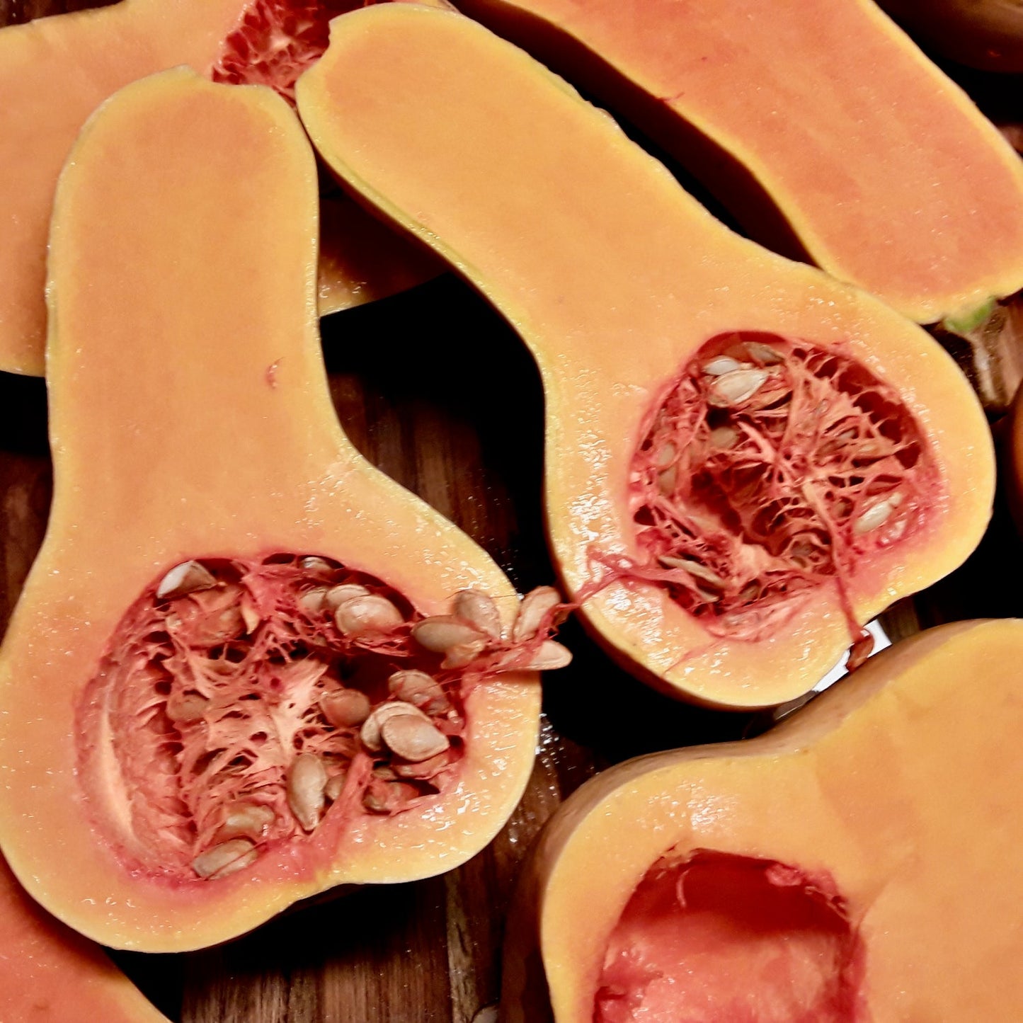 Butternut Squash Landrace