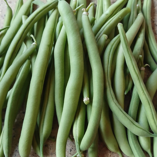 Provider Bean