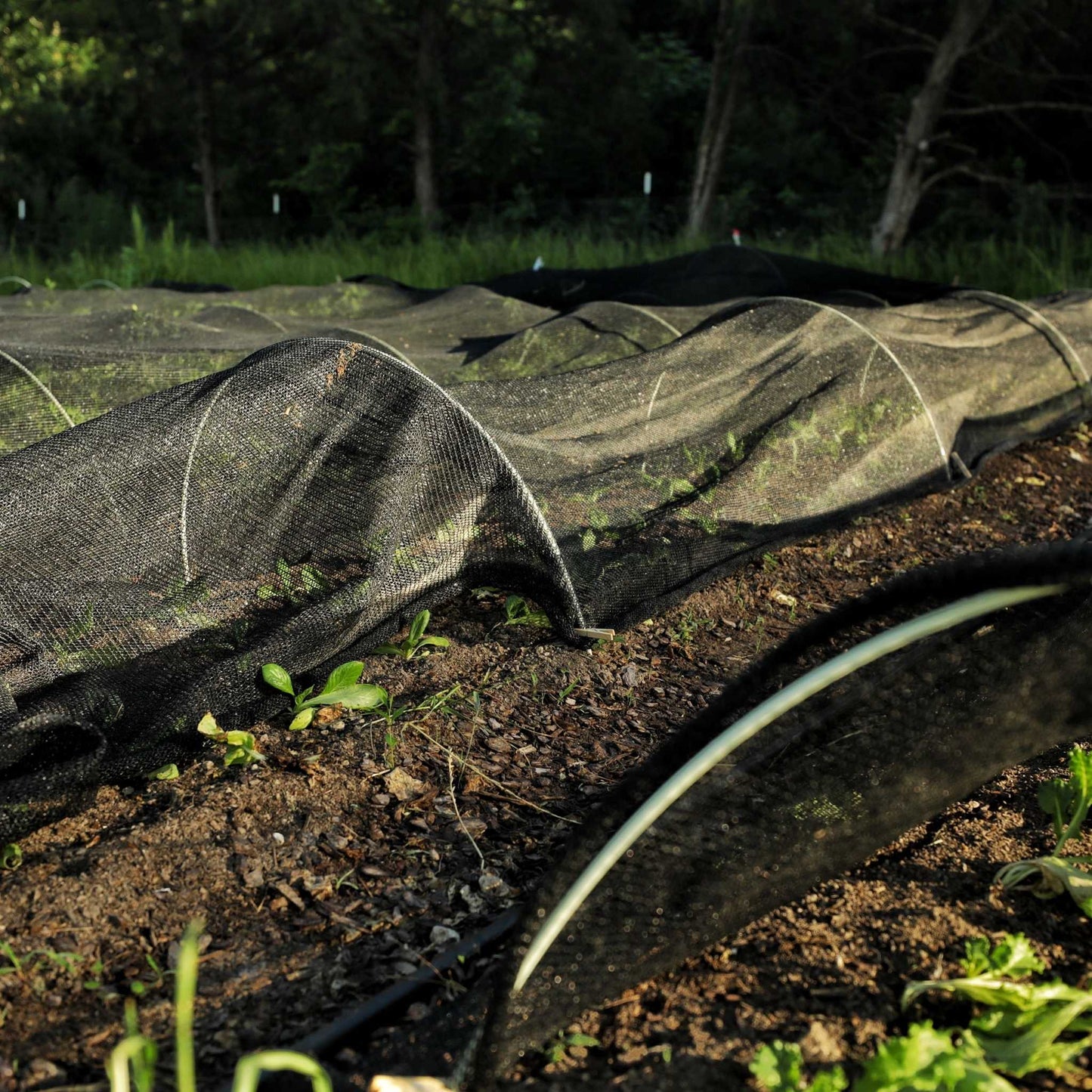 Greenhouse Shade Cloth — 50% Black