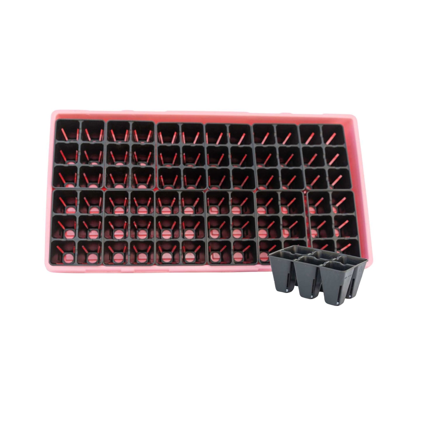 6 Cell Plug Tray Inserts