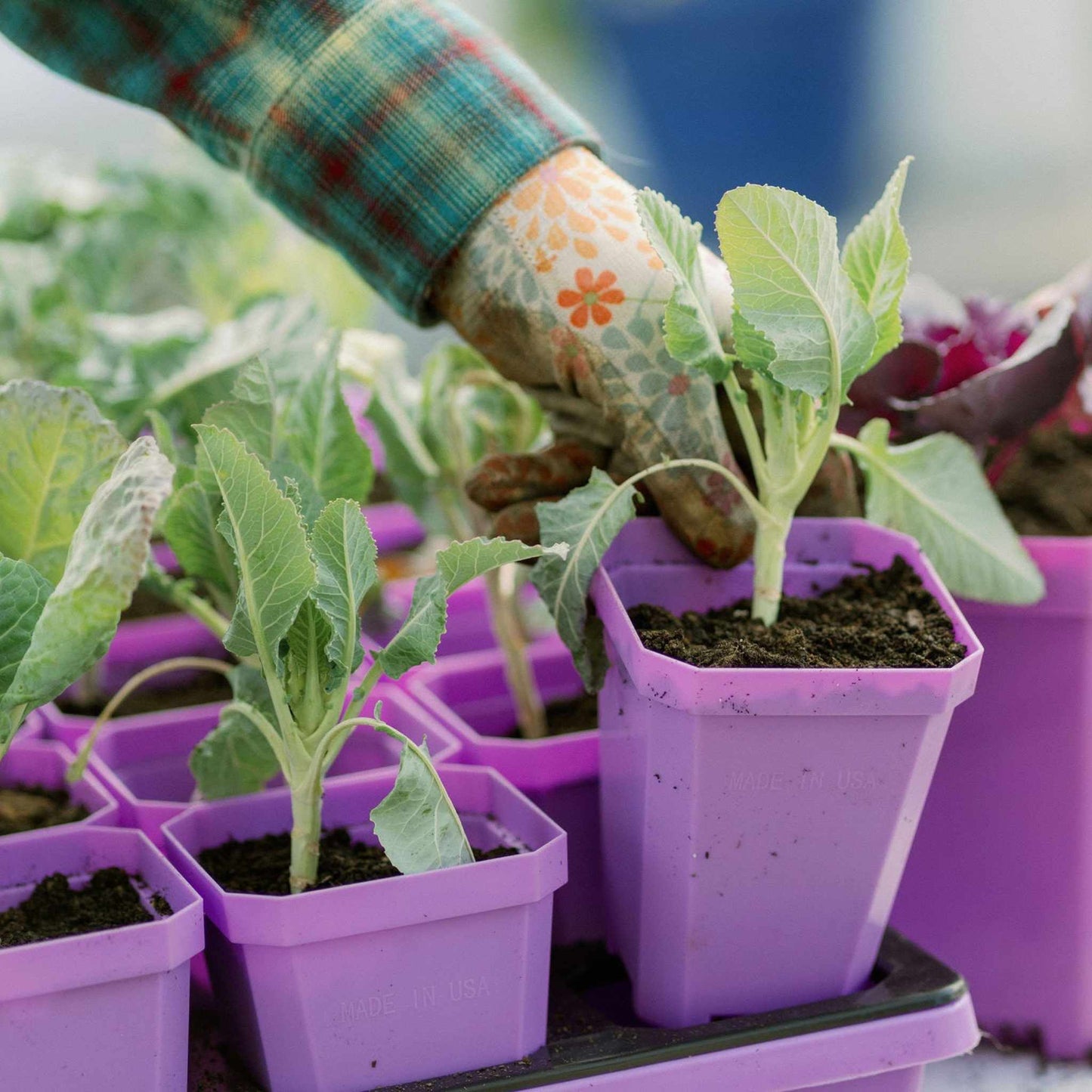 3.3" Heavy Duty Seed Starting Pots