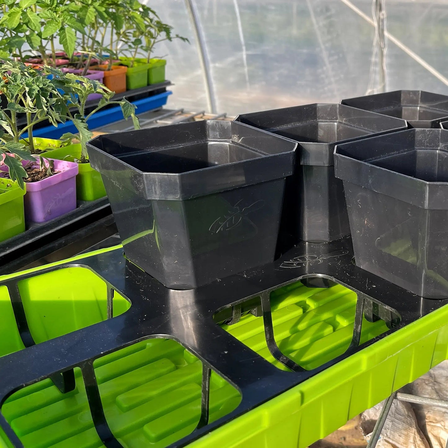 5" Reusable Seed Starting Pots with Insert