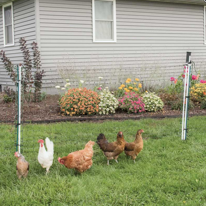 PoultryNet® Gate