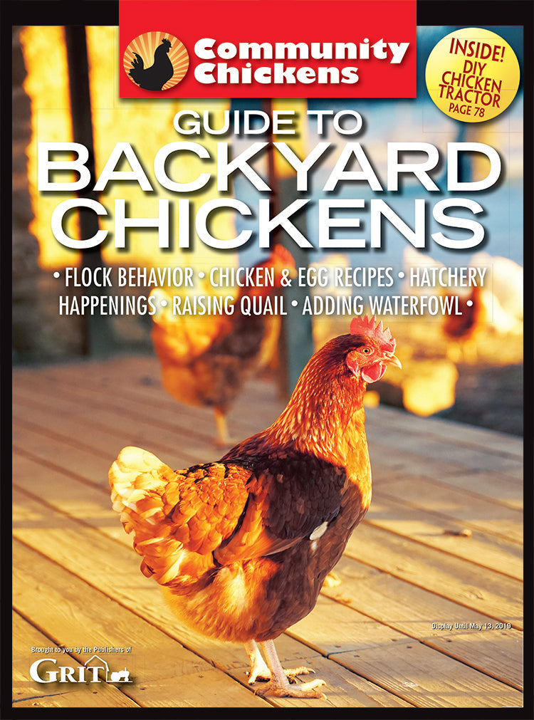 COMMUNITY CHICKENS GUIDE TO BACKYARD CHICKENS, 1ST EDITION