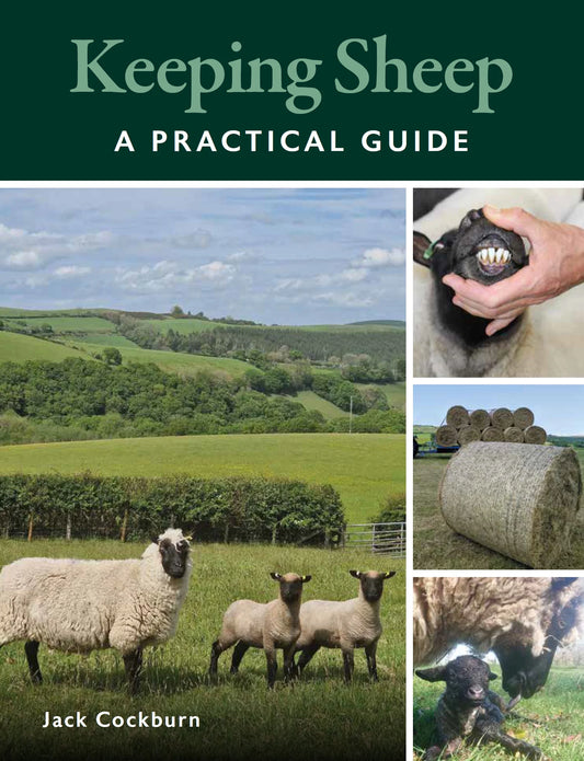 KEEPING SHEEP: A PRACTICAL GUIDE