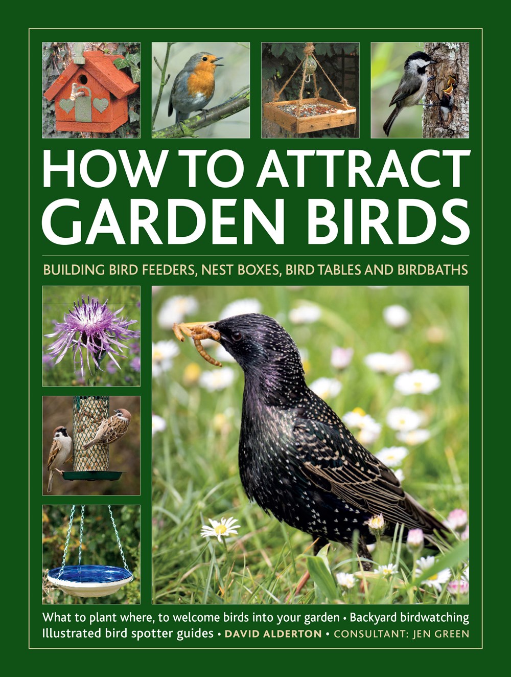 HOW TO ATTRACT GARDEN BIRDS