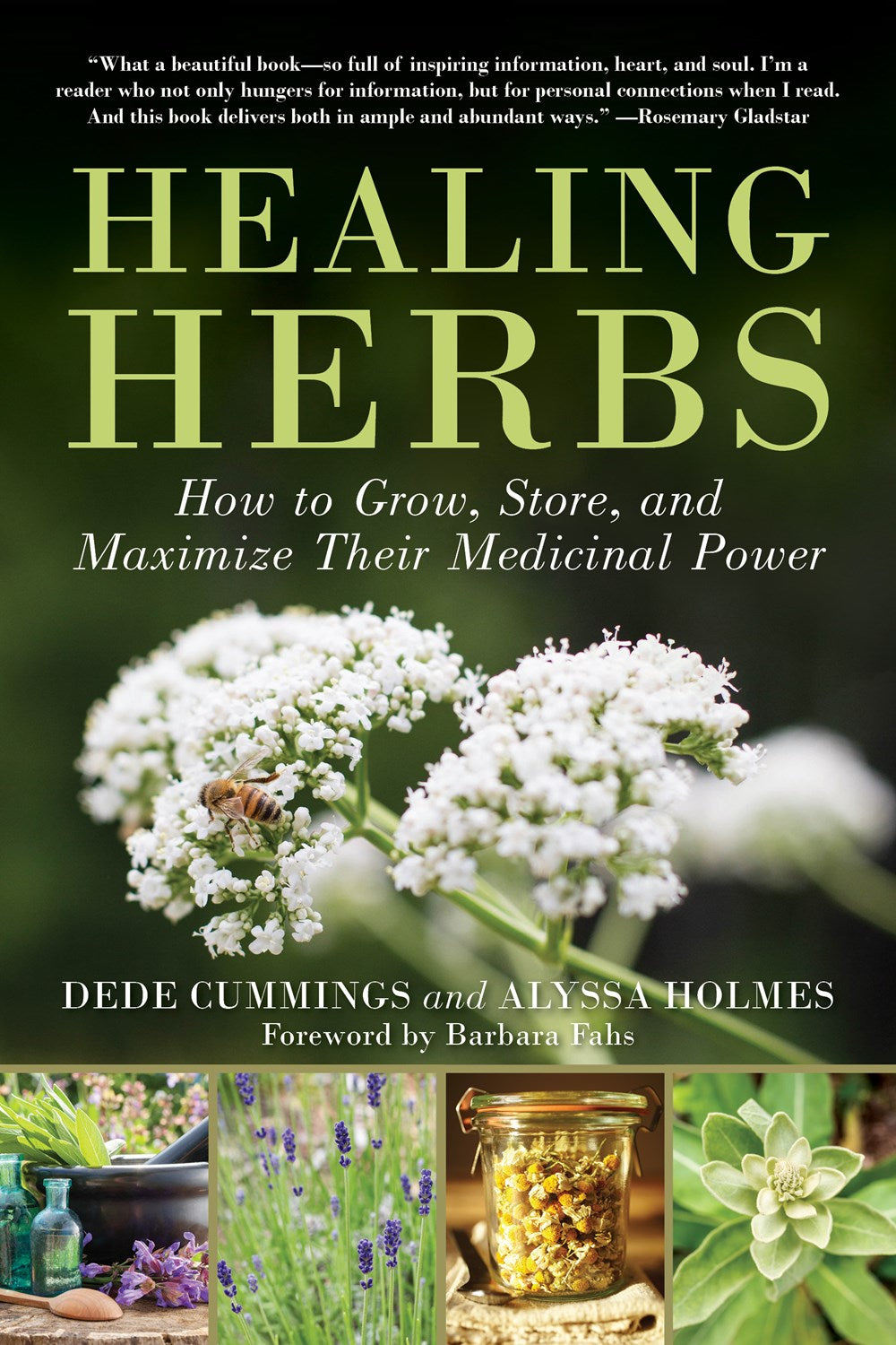 HEALING HERBS