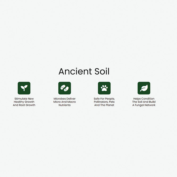 ANCIENT SOIL