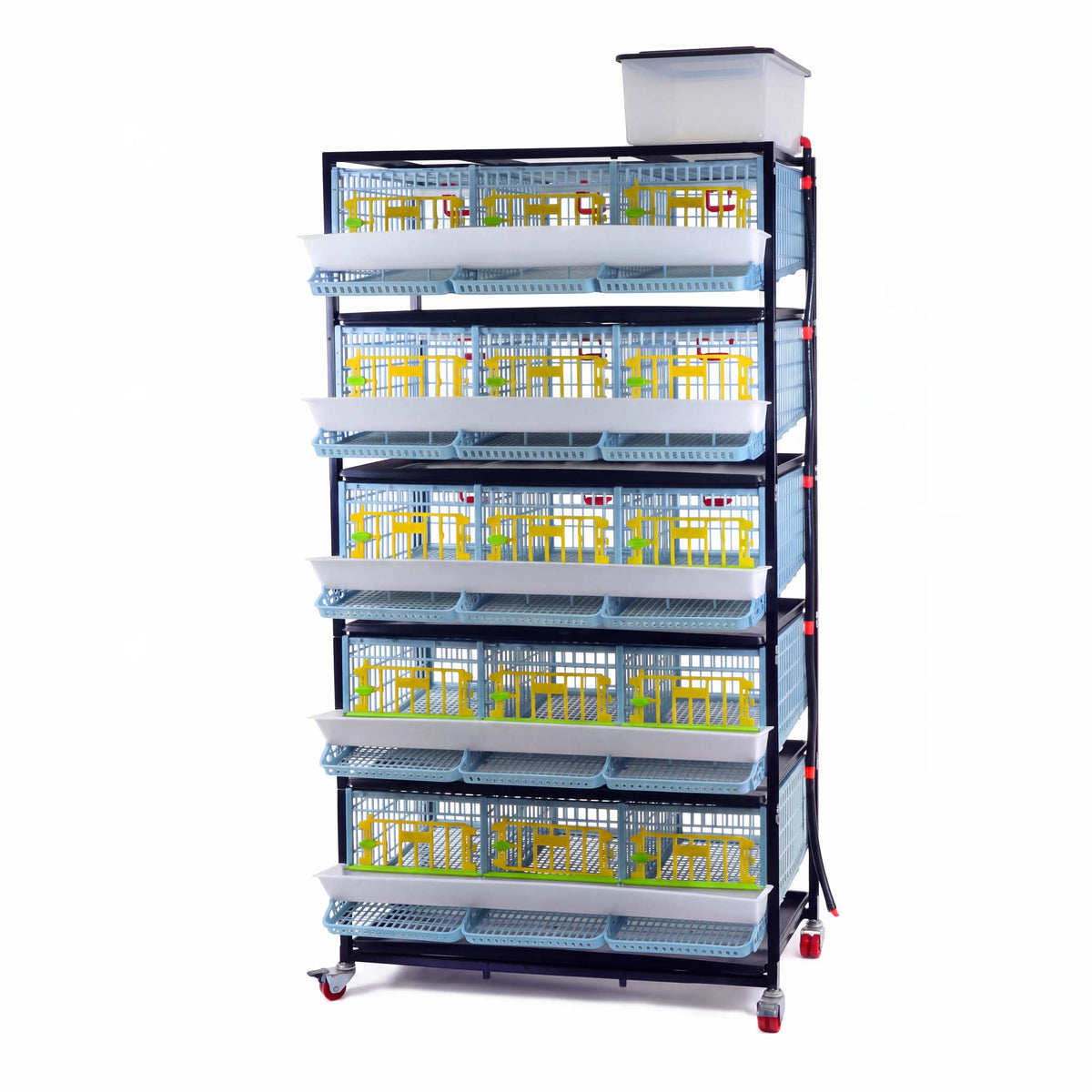 Quail Cage - 5 Layer