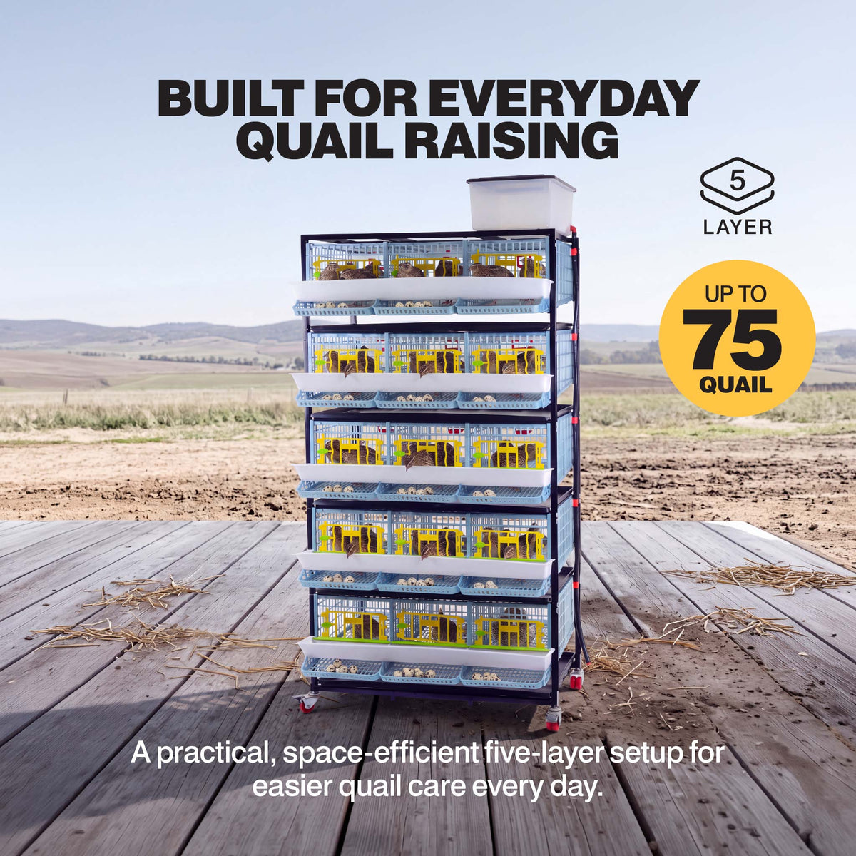Quail Cage - 5 Layer