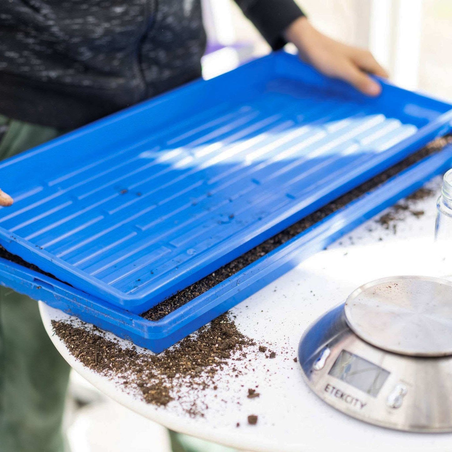 1020 Microgreen Trays — Shallow Extra Strength Colors