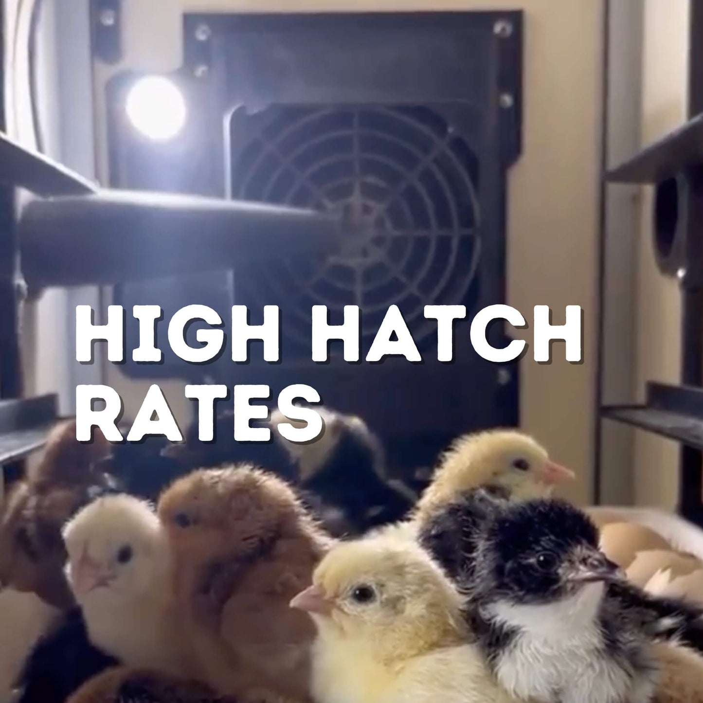 CT60 H - Egg Hatcher Only - Automatic Poultry Hatching Machine