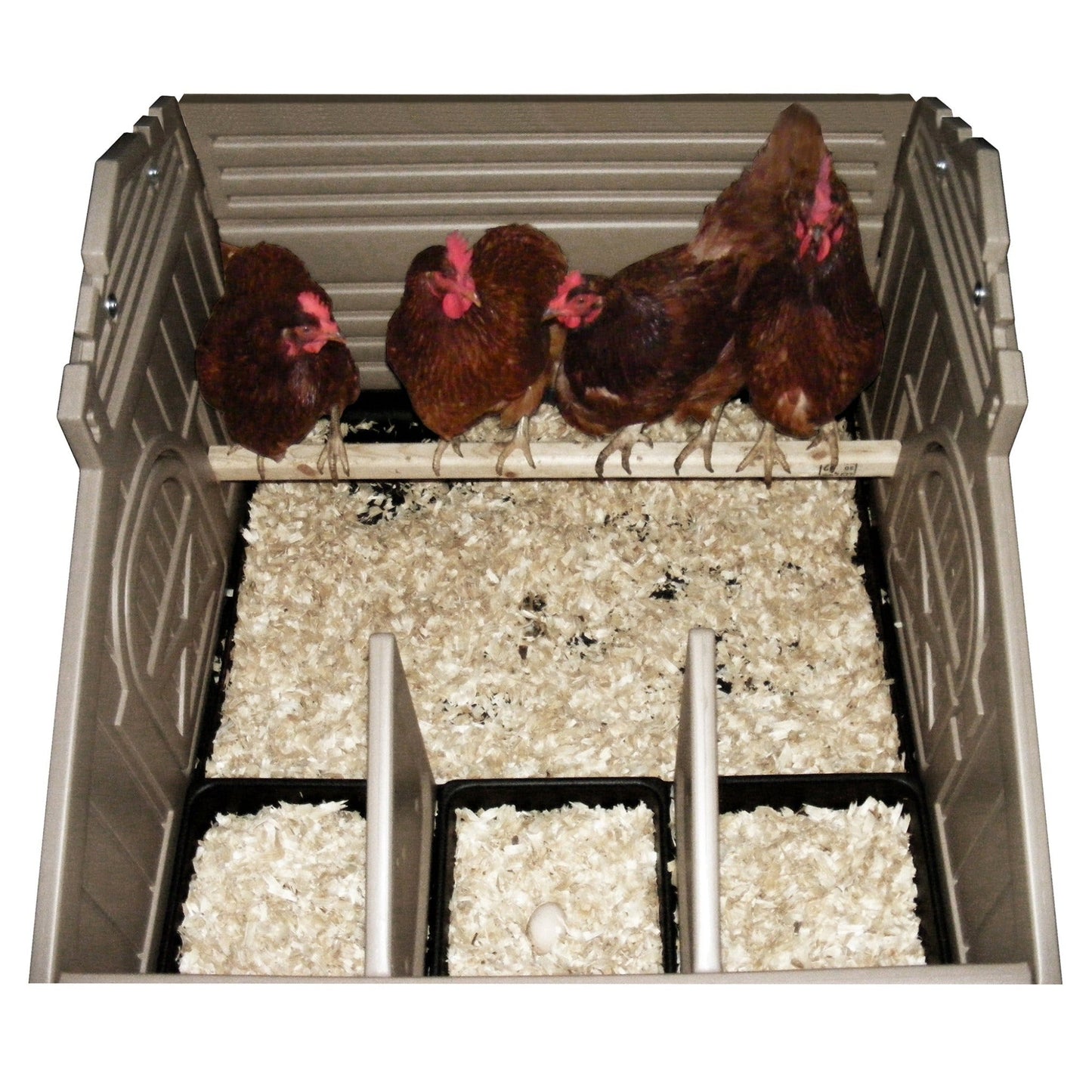 Standard Chicken Coop & Stand with Stairs