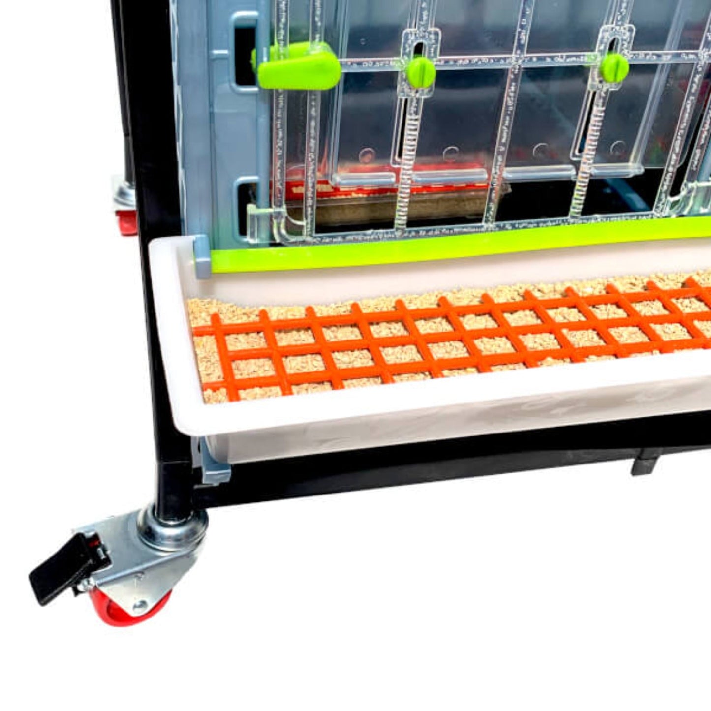 Chick Brooder - 4 Layer H: 15"