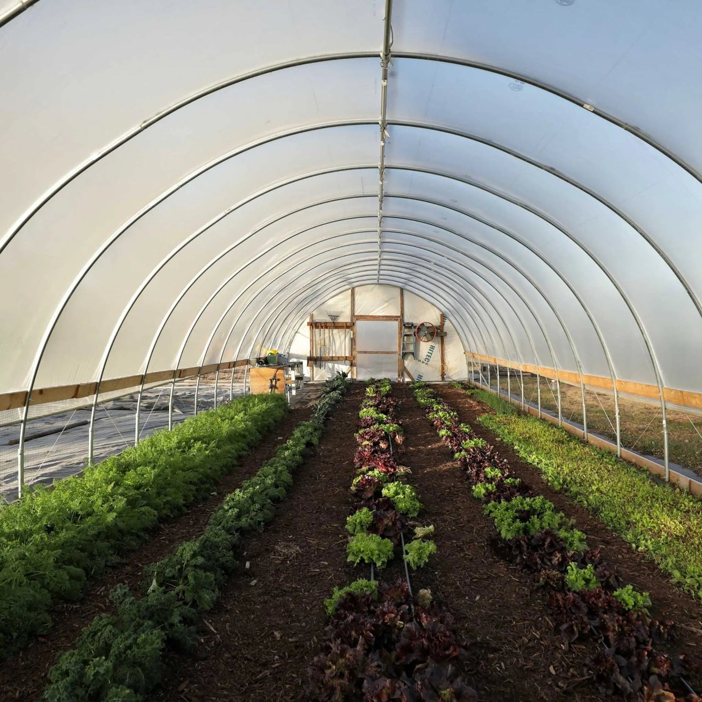 DIY Greenhouse Kit - 16 ft Wide Hoop House
