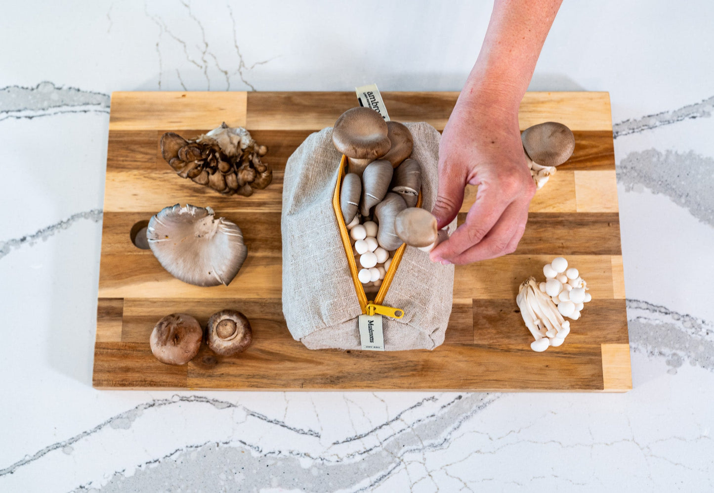 The Mushroom Bag