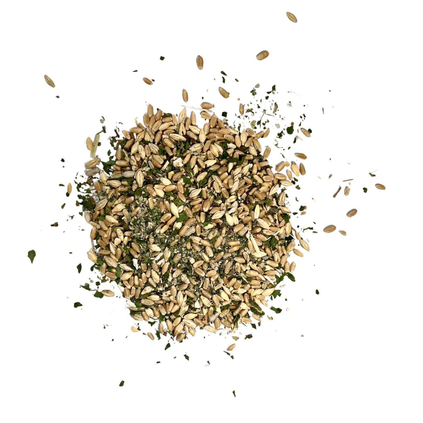 Digest & Detox - Gut Health Blend