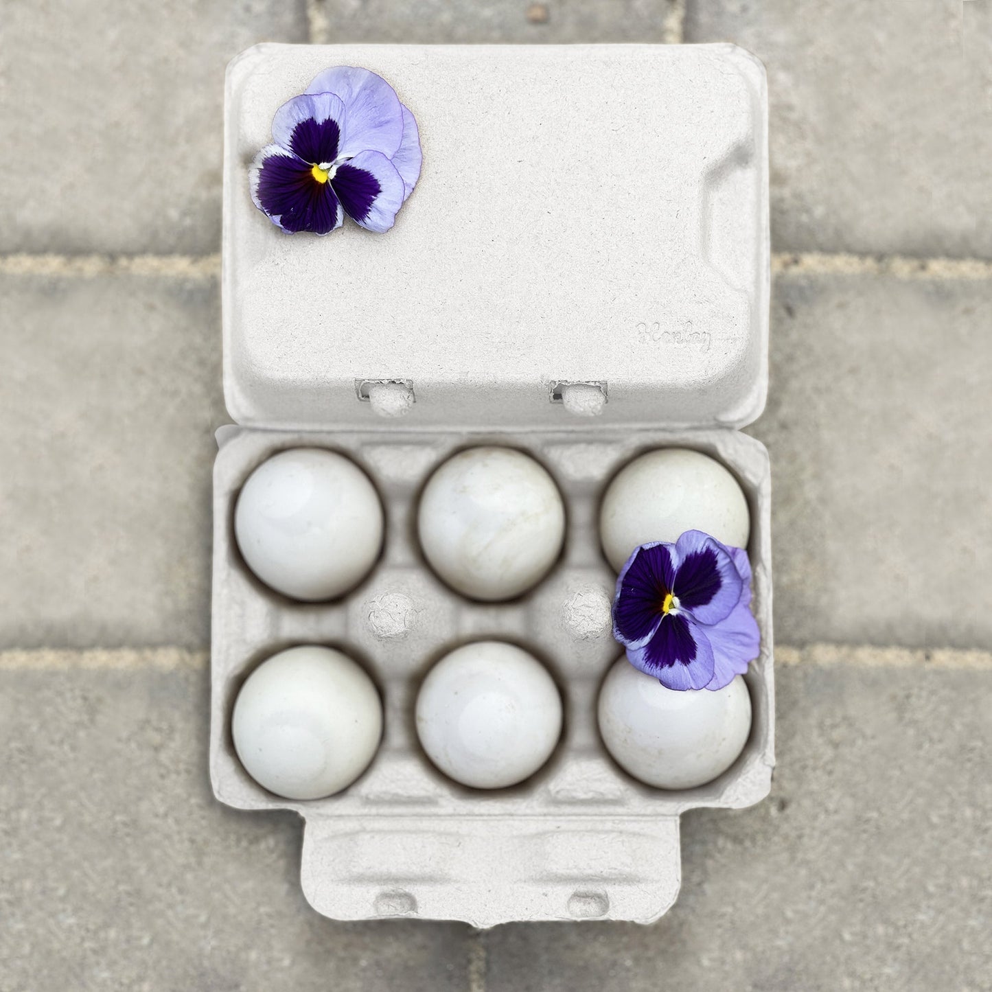 Henlay Duck Egg Cartons — Holds Half Dozen Jumbo Eggs- Blank Flat Top, 2 colors, 20 or 100