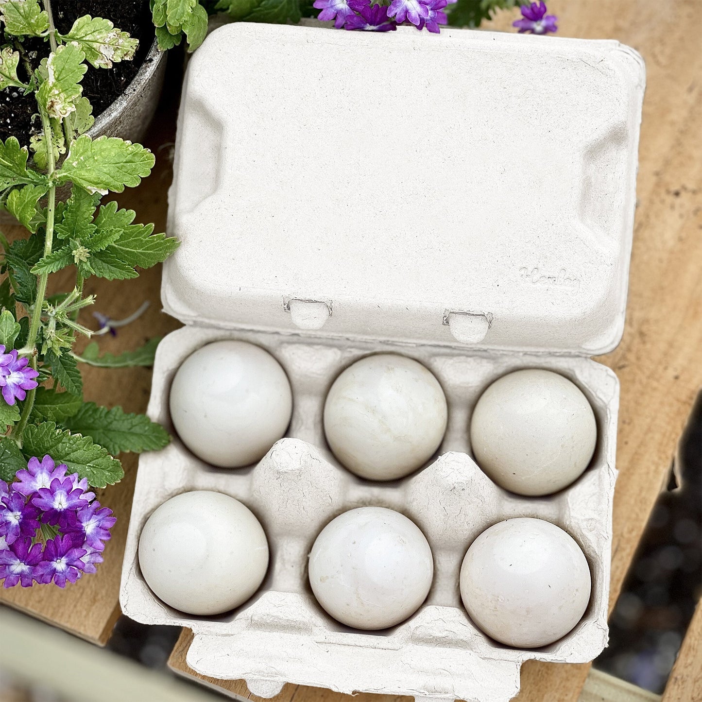 Henlay Duck Egg Cartons — Holds Half Dozen Jumbo Eggs- Blank Flat Top, 2 colors, 20 or 100