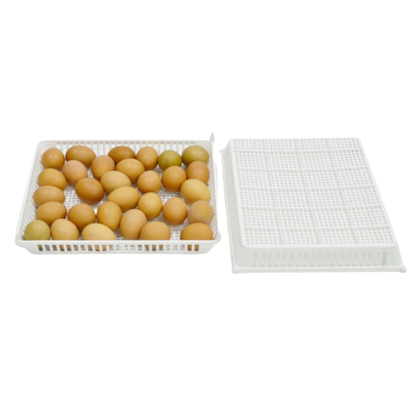 Conturn 60 Set - Automatic Egg Turners and Hatch Baskets