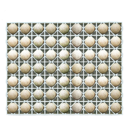 Egg Setter Tray - Duck/Turkey - 63 Eggs