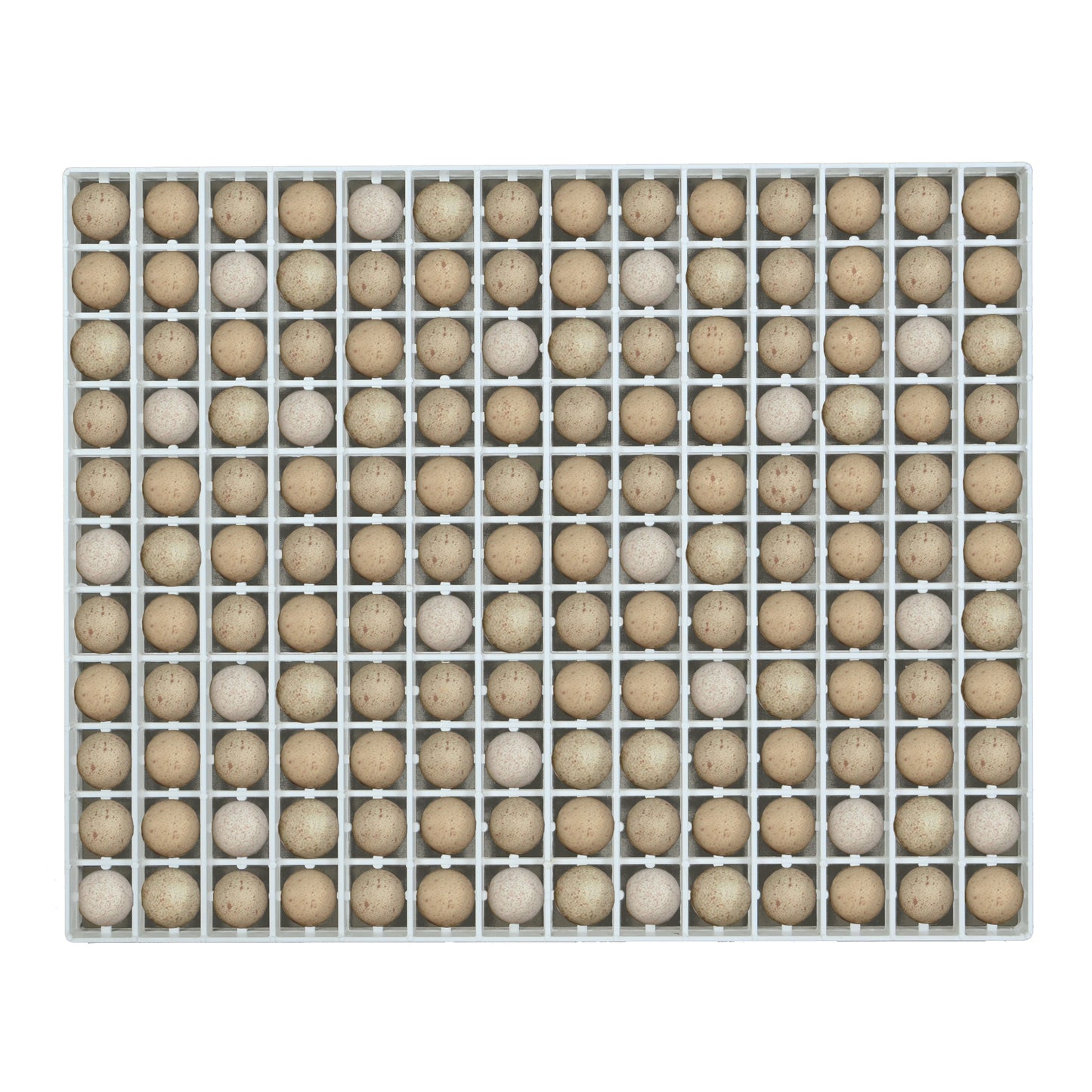 Egg Setter Tray - Partridge - 154 Eggs