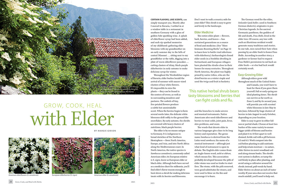 Mother Earth Living — Grow, Cook, & Heal with Herbs