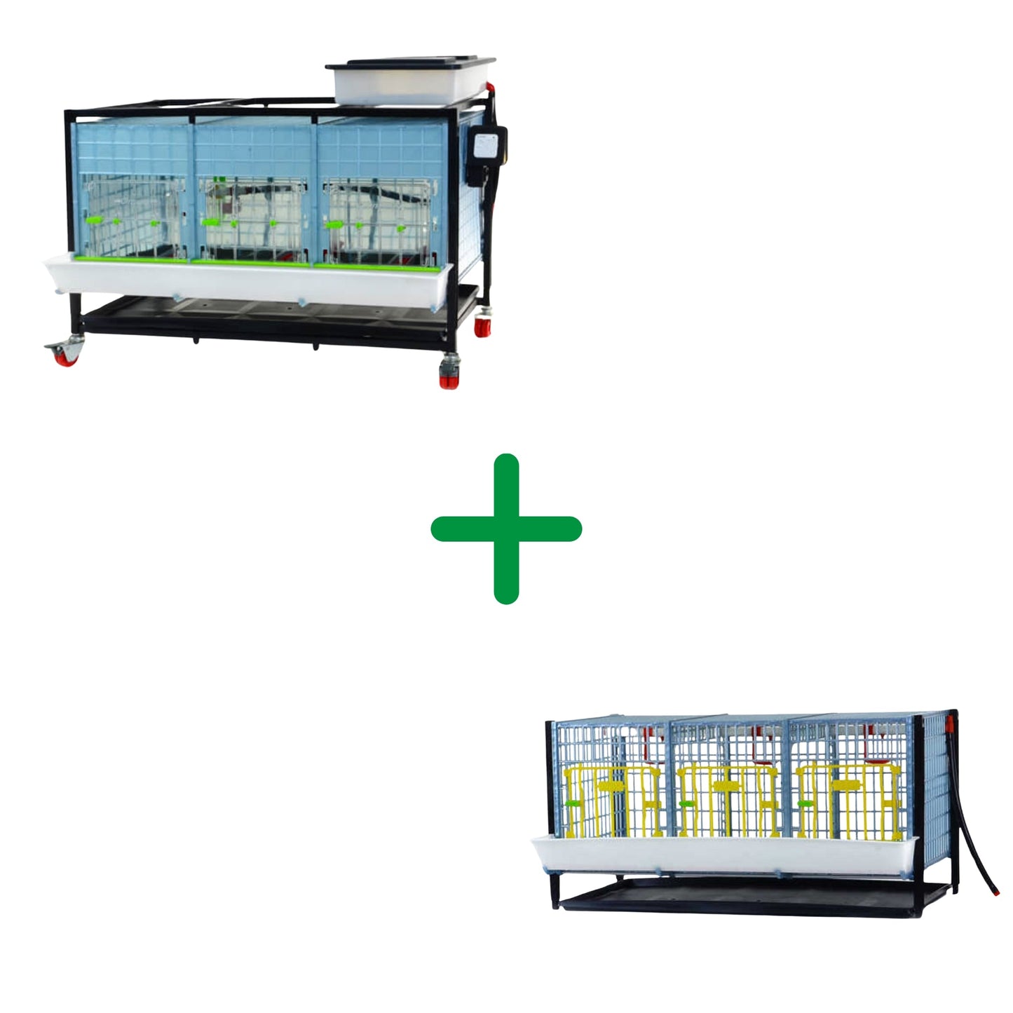 Free Range - Chicken Starter Kit