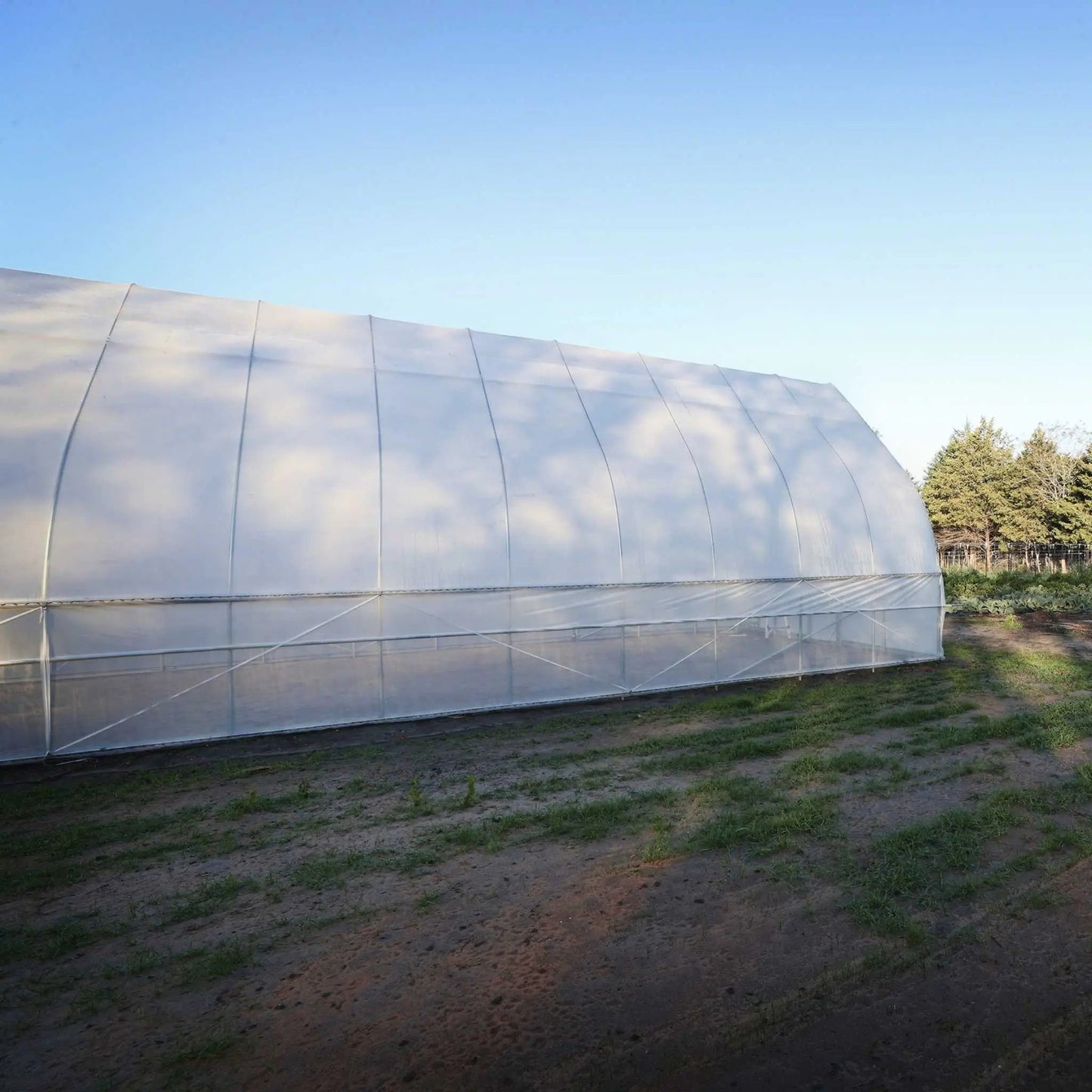 Gothic All-Metal Hoop House Kit