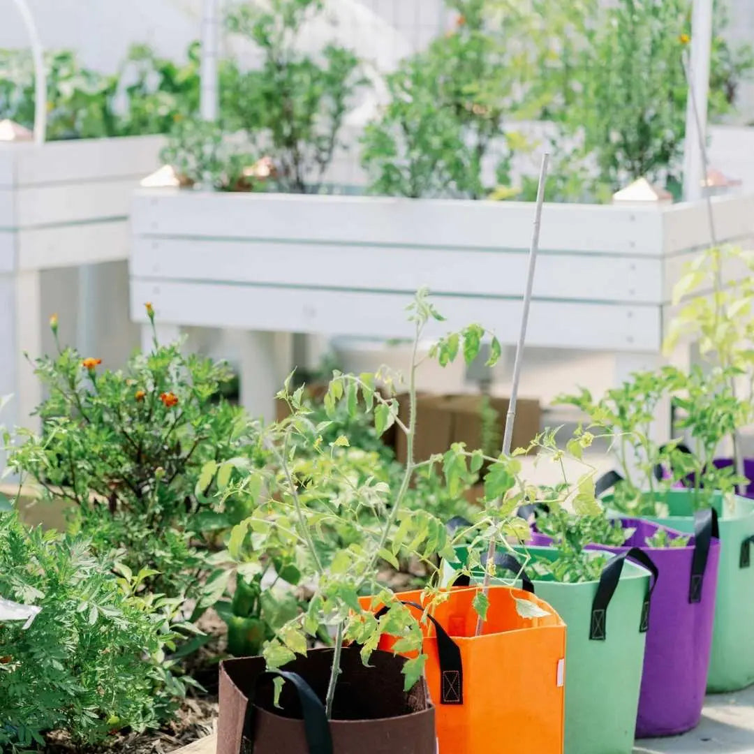 grit for plant pots Grow Bags