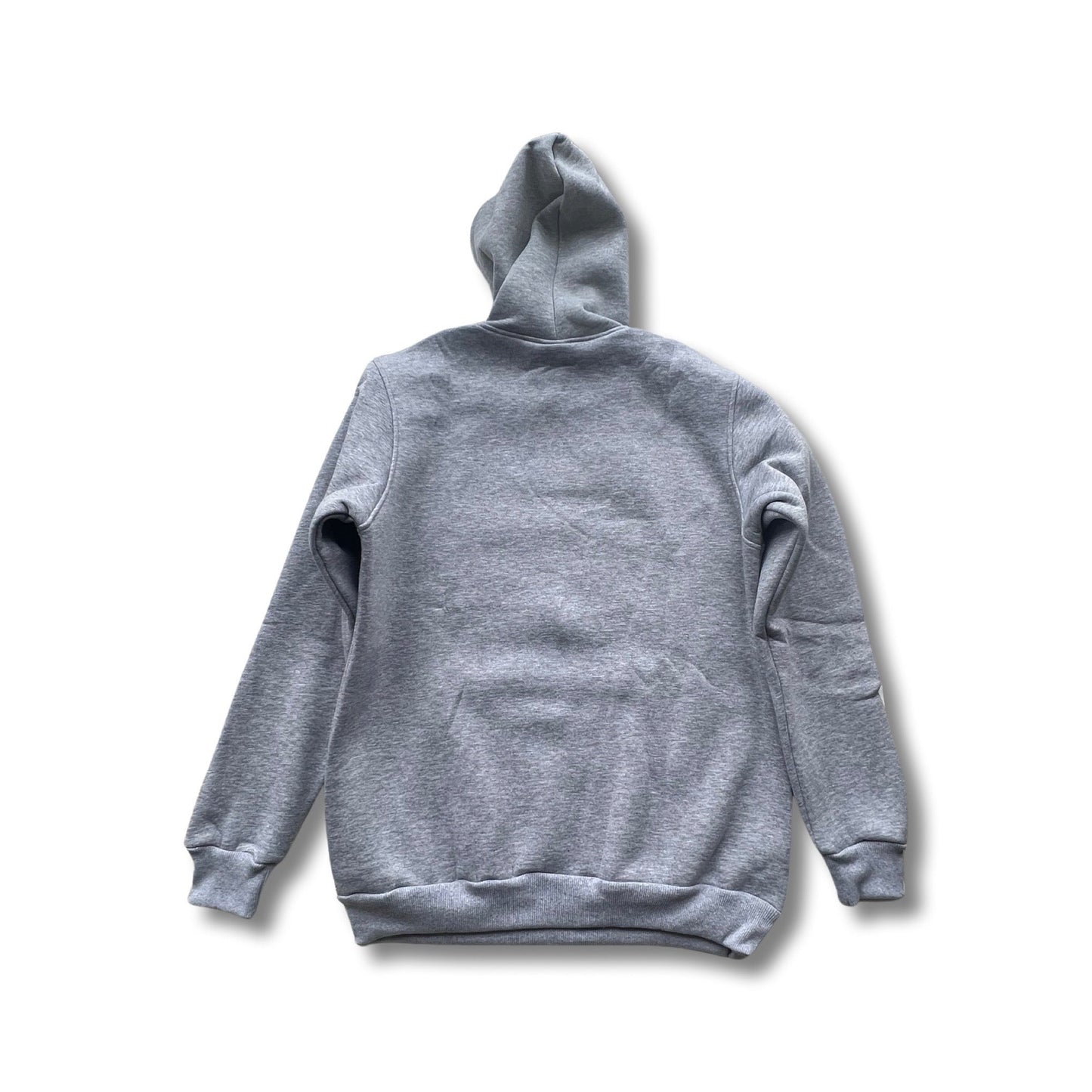 Hatching Time Unisex Hoodie (Gray)