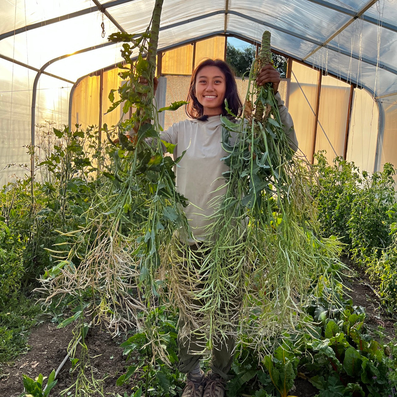 Ethiopian Kale