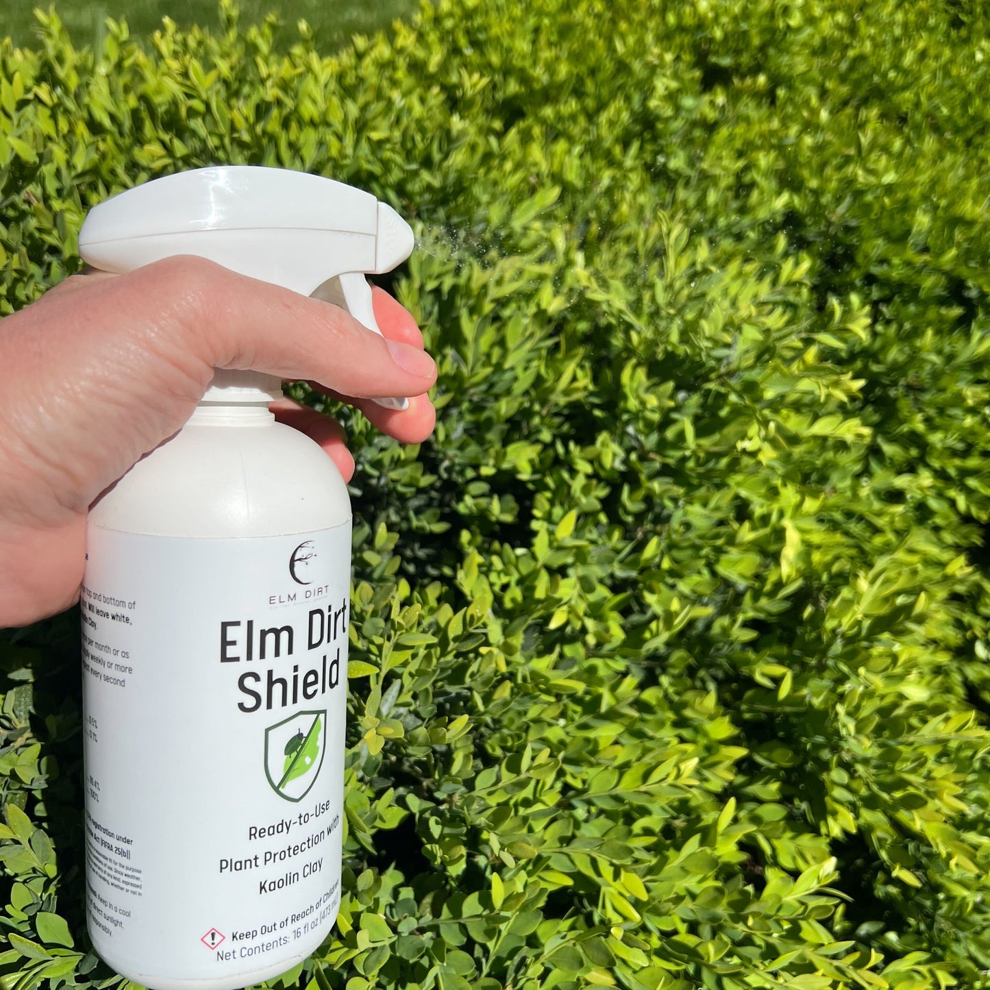 Elm Dirt's Shield, All Natural Pesticide