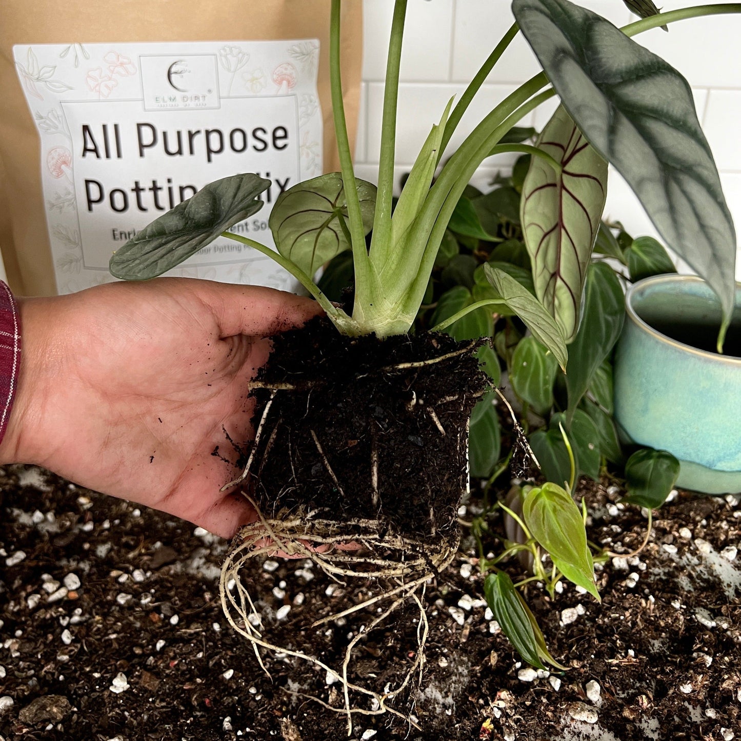 All-Purpose Soil Mix